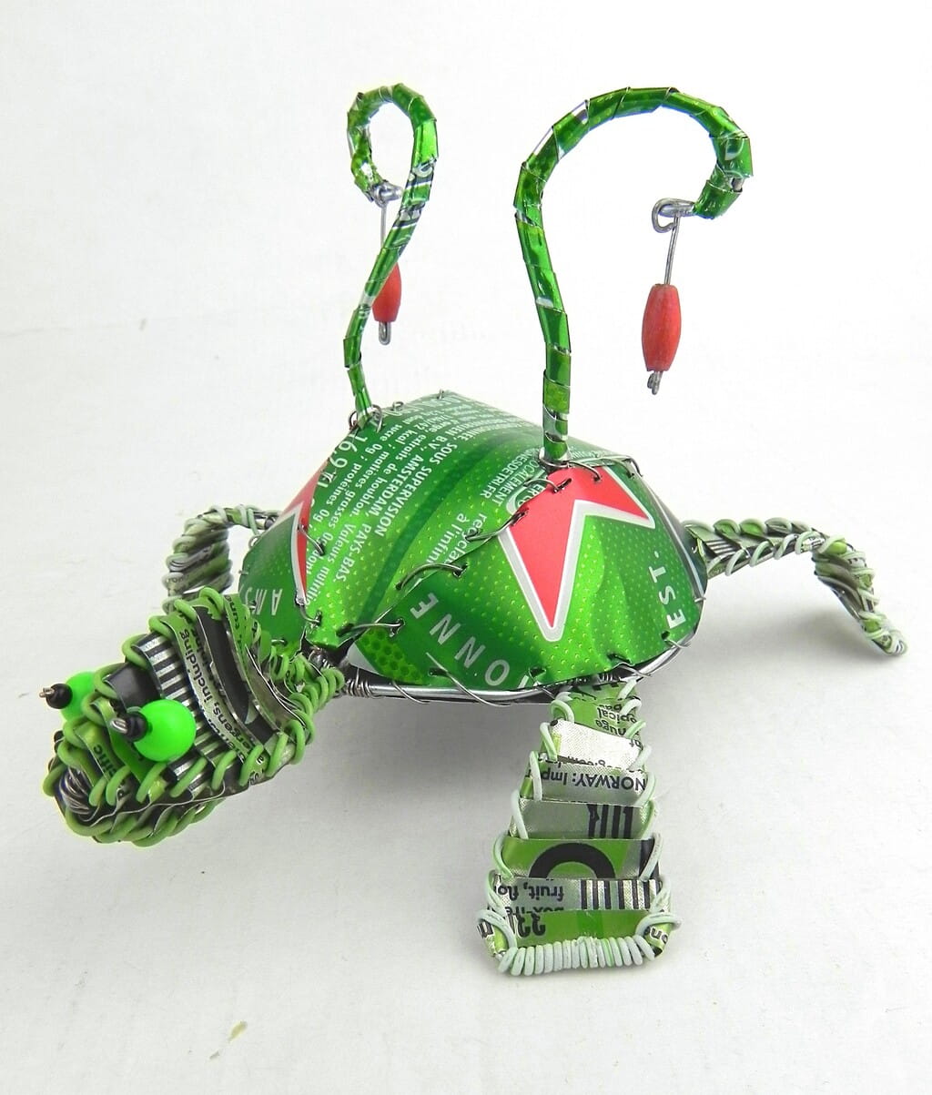 Tortue Cactus
